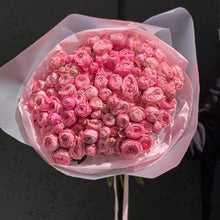 Załaduj obraz do przeglądarki galerii, Róża gałązkowa Silva Pink