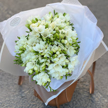 Załaduj obraz do przeglądarki galerii, Frezja biała