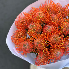 Загрузить изображение в средство просмотра галереи, Bukiet z Leucospermum