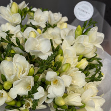 Załaduj obraz do przeglądarki galerii, Frezja biała