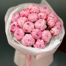 Load image into Gallery viewer, Piwonie