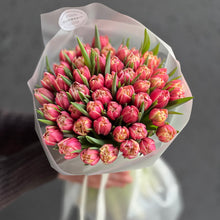 Load image into Gallery viewer, Tulipany pełne