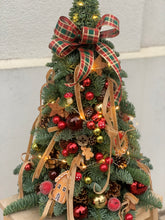 Załaduj obraz do przeglądarki galerii, Żywa choinka z gałęzi jodły Nobilis