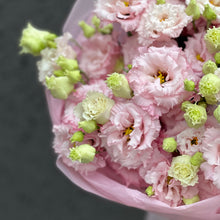 Załaduj obraz do przeglądarki galerii, Eustoma różowa
