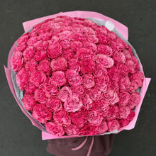 Załaduj obraz do przeglądarki galerii, Róża piwoniowa
