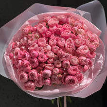 Load image into Gallery viewer, Róża gałązkowa Silva Pink
