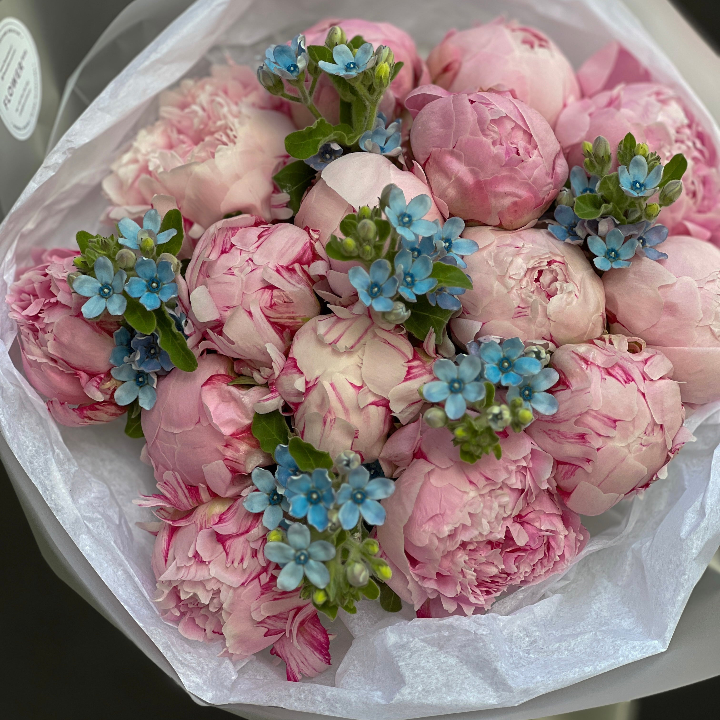 Peonies and oxypetalum