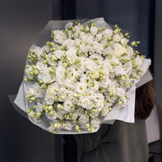 Eustoma biała