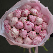 Peonies