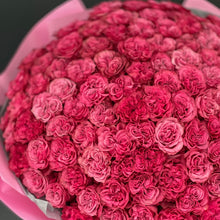 Załaduj obraz do przeglądarki galerii, Róża piwoniowa
