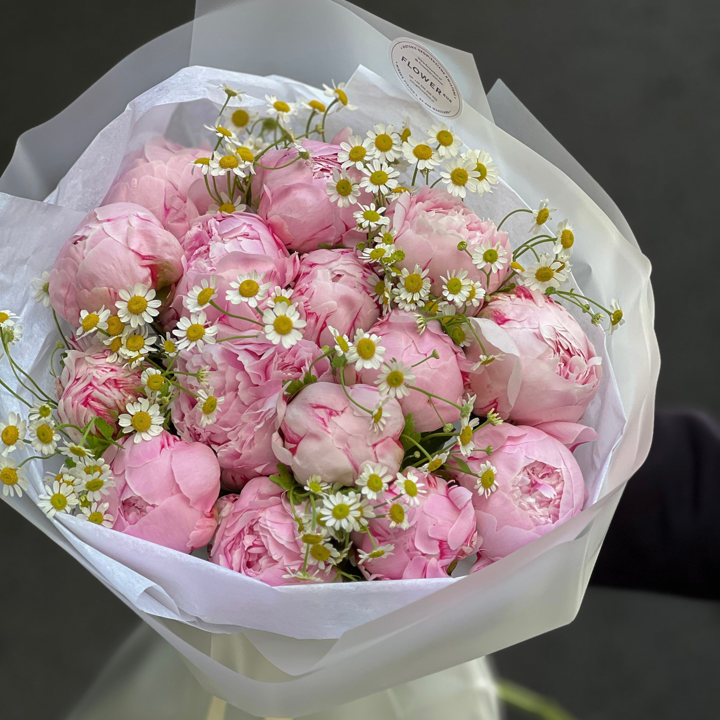 Piwonie z rumiankiem
