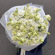 Eustoma biała