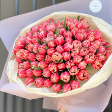 Load image into Gallery viewer, Tulipany pełne
